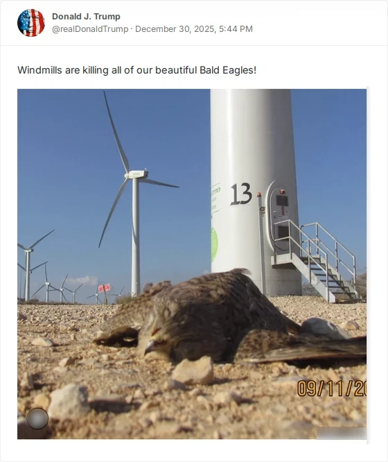 Windmills are killing...